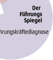 fuehrungsspiegel